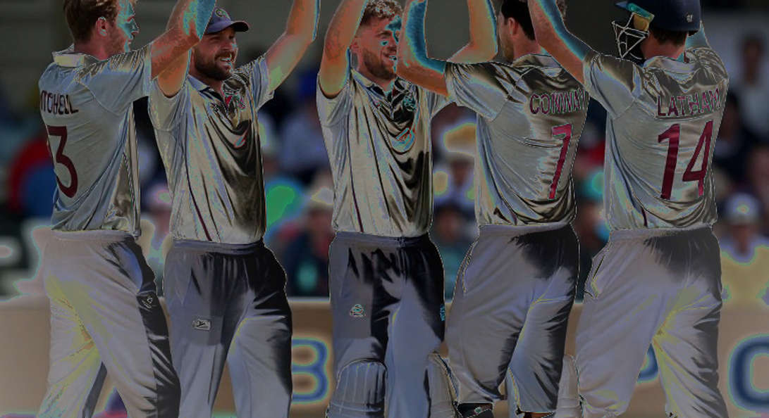 Overs 20 to 40: The Cricket Nobody Films
